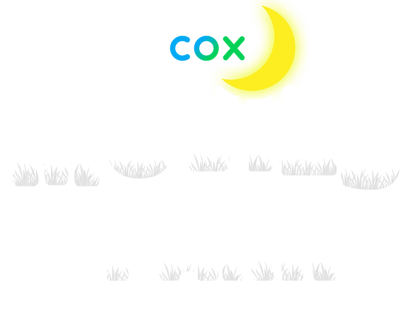 Cox Movies In The Park